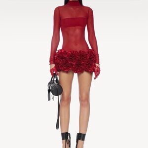 Semi-sheer stretch nylon mesh with hand-embroidered flowers mini dress